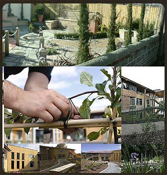 Examples of SBA Landscaping